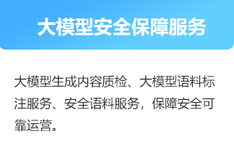 大模型安全服務